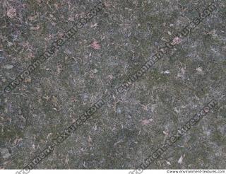 Photo Textures of Ground Grass Frozen